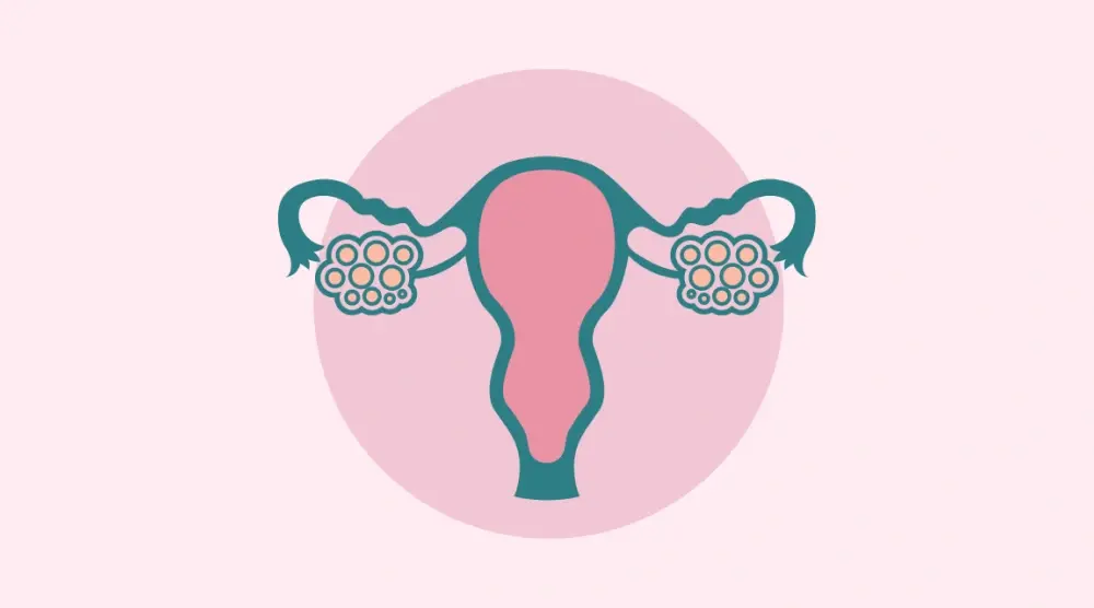Blog by Nouriel OBGYN